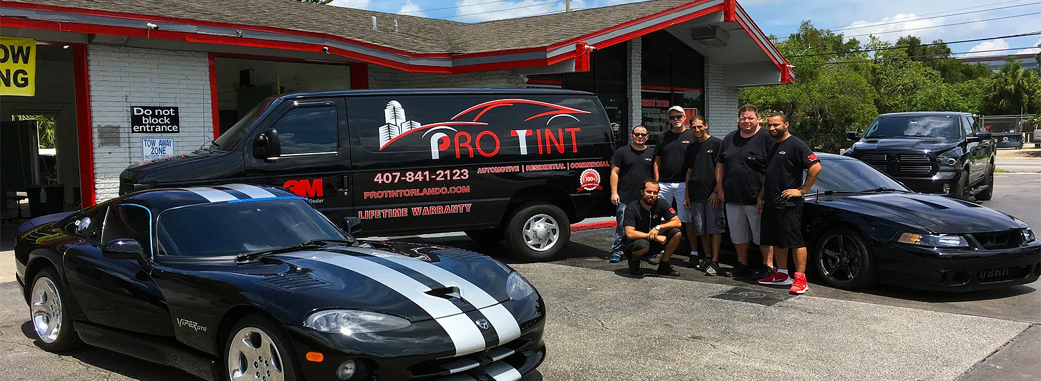 Pro Tint Team Pro Tint Team