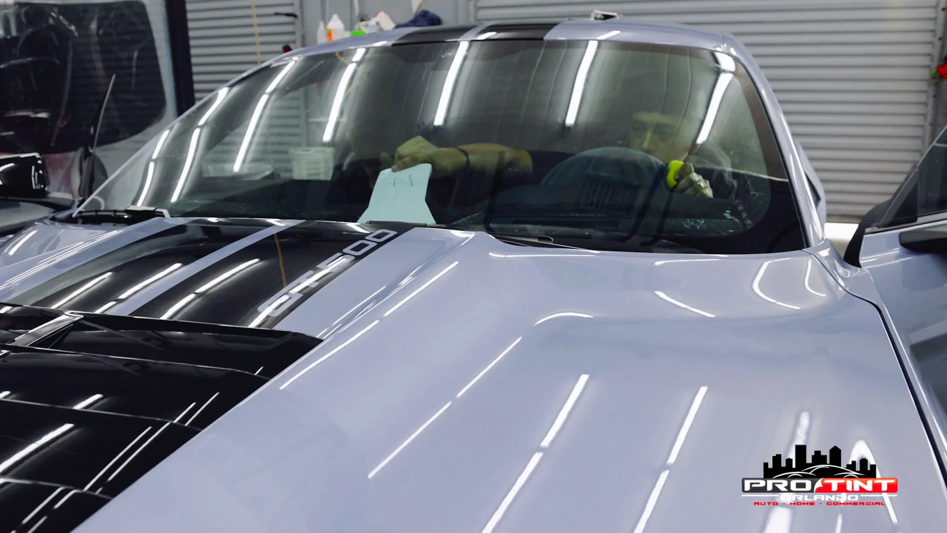 Ford Shelby GT500 - Pro Tint of Orlando