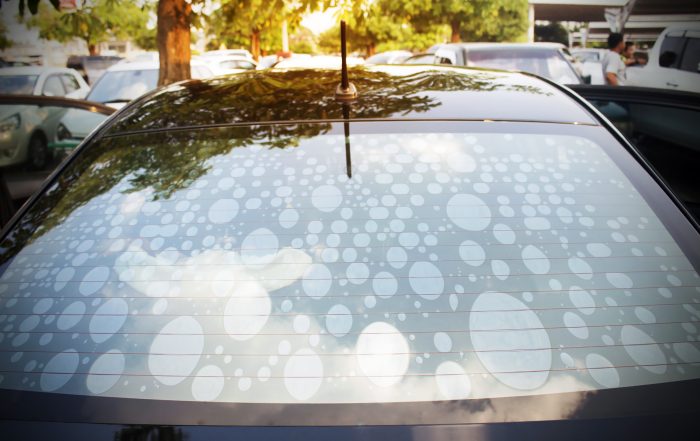 When to Replace Bubbling or Peeling Window Tint in Orlando, FL - Pro Tint of Orlando