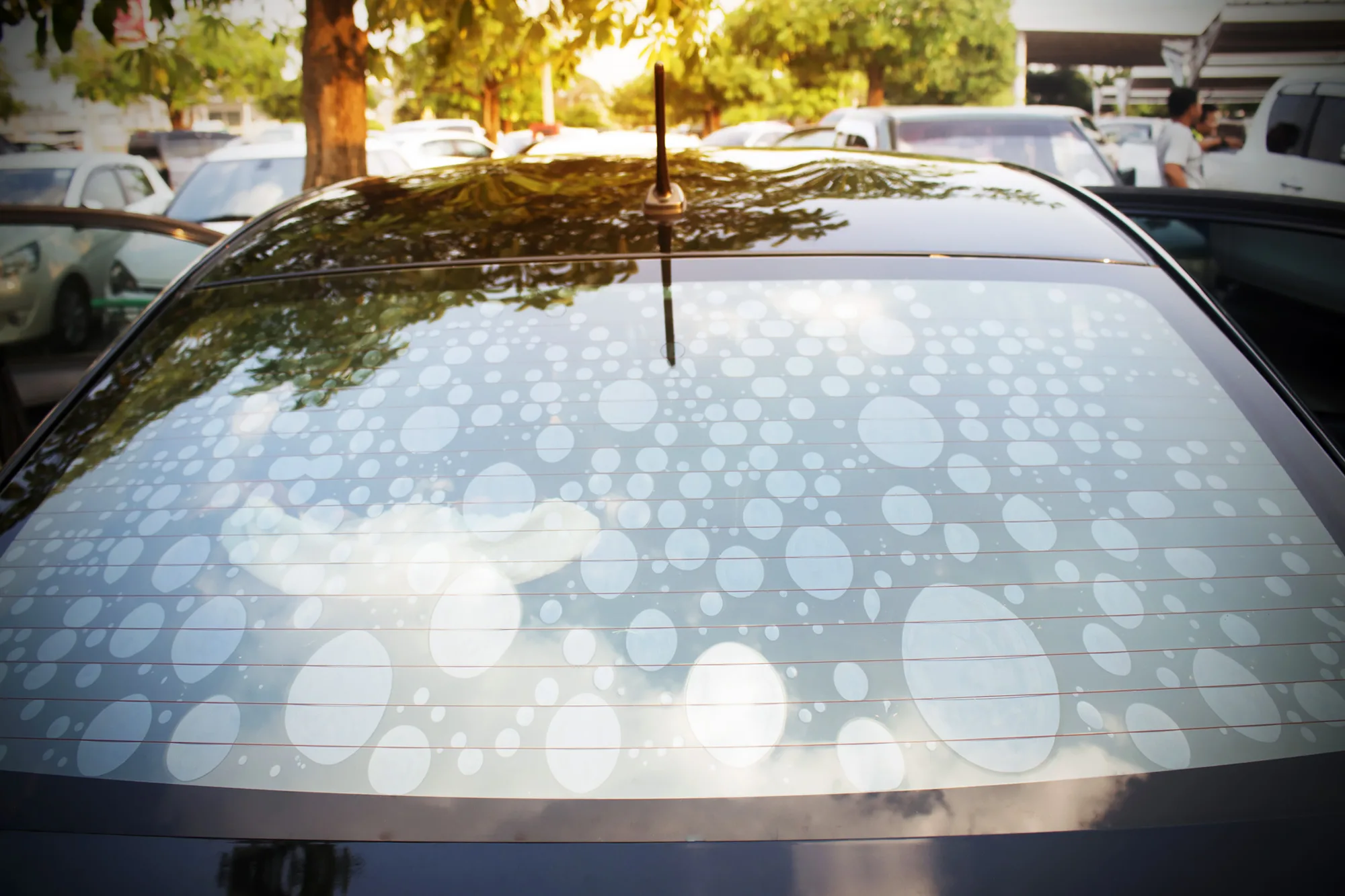 When to Replace Bubbling or Peeling Window Tint in Orlando, FL - Pro Tint of Orlando