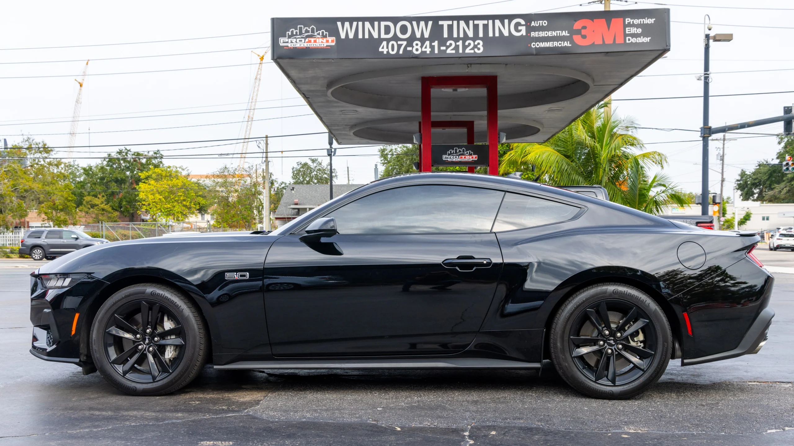 Ford Mustang GT Tinted by Pro Tint of Orlando Ford Mustang GT Tinted by Pro Tint of Orlando